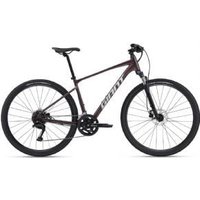 Giant Roam 2 Disc Sports Hybrid Bike 2024 Small - Gloss Charcoal Plum/Silver