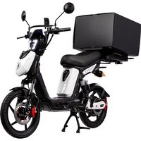 Eskuta Eskuta SX-250 Cargo Electric Bike - Gloss White