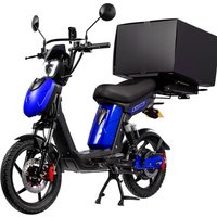 Eskuta Eskuta SX-250 Cargo Electric Bike - Gloss Blue