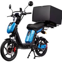 Eskuta Eskuta SX-250 Cargo Electric Bike - Matte Blue