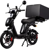 Eskuta Eskuta SX-250 Cargo Electric Bike - Matte Black