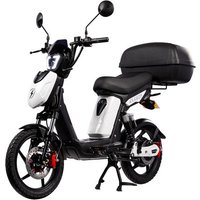 Eskuta Eskuta SX-250 Voyager Max Electric Bike - Gloss White